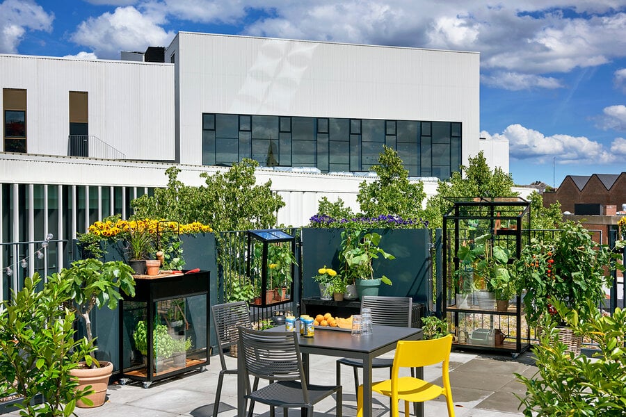 Gewächshäuser – Bild 9