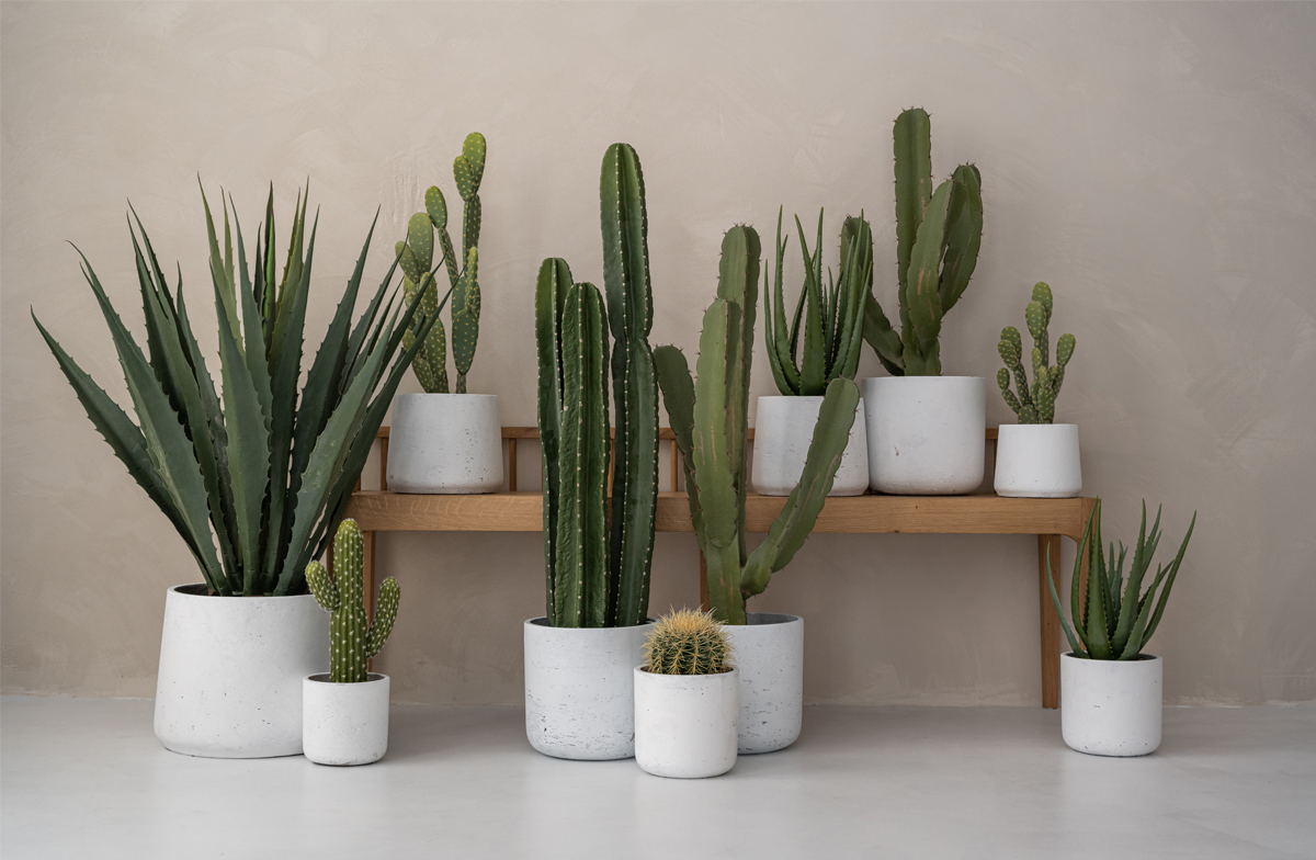 Die schönen Pottery Pots Pflanzgefäße werden aus Ficonstone hergestellt.